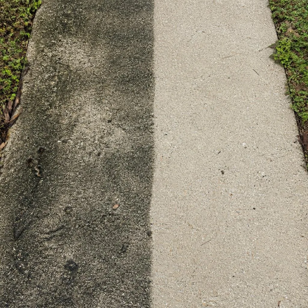 Sidewalk Cleaning